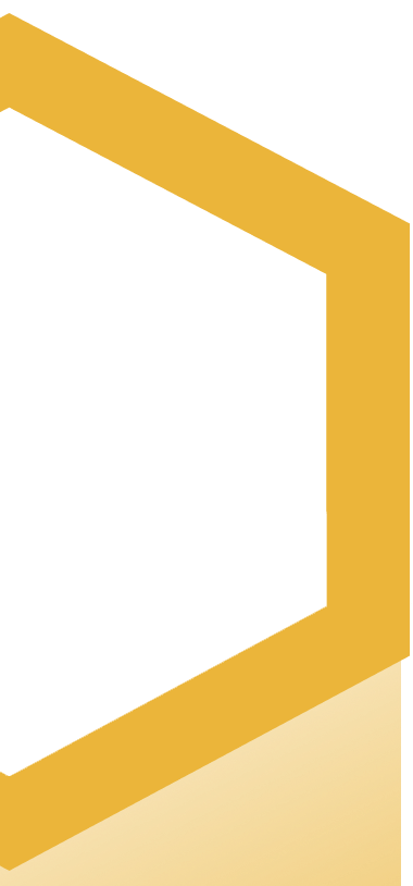 Section 2 shape 2