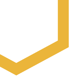 section2 shape1 1